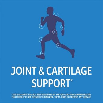 21st Century Arthri-Flex Advantage 120 Tablets