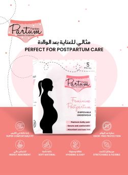 Partum Panties Feminine Postpartum Disposable Underwear Large 5's