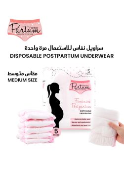 Partum Panties Feminine Postpartum Disposable Underwear Medium 5's