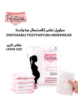 Partum Panties Feminine Postpartum Disposable Underwear Large 5's