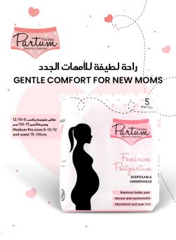 Partum Panties Feminine Postpartum Disposable Underwear Large 5's