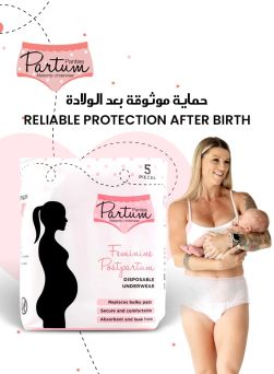 Partum Panties Feminine Postpartum Disposable Underwear Large 5's