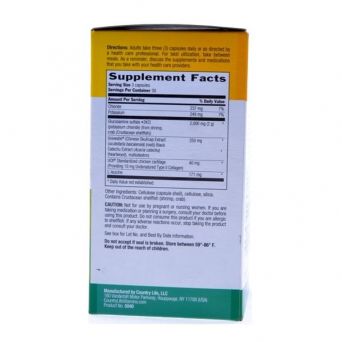 Country Life Flex-Able Advanced Capsule 90'S