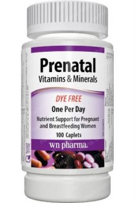 Prenatal Vitamin & Mineral Supplement Caplets 100's